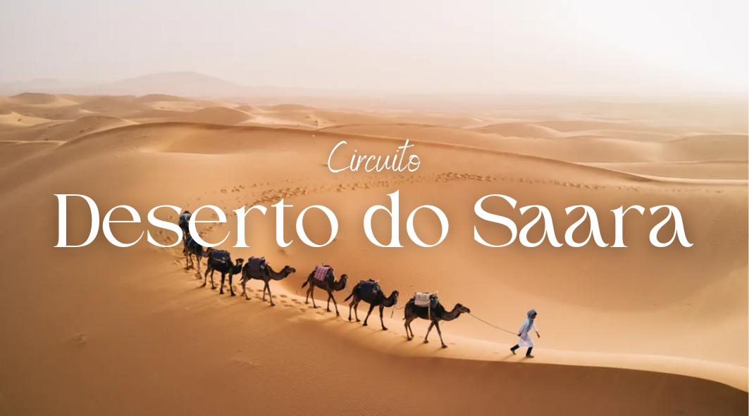 Foto destaque